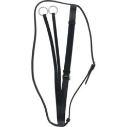 Aviemore Martingaal Hulpteugel Black