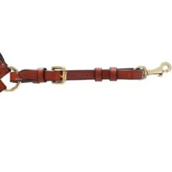 Kavalkade Borsttuig Lorenz Cognac -Lemie Paard Winkel agradi 44577607 5.450c5d