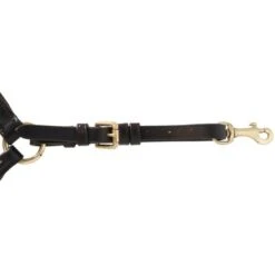 Kavalkade Borsttuig Lorenz Bruin -Lemie Paard Winkel agradi 44577608 5.ff69de