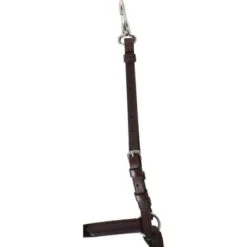 Passier Voortuig Ingrid Klimke Havana/Zilver -Lemie Paard Winkel agradi 44709656 4.5059e2 1