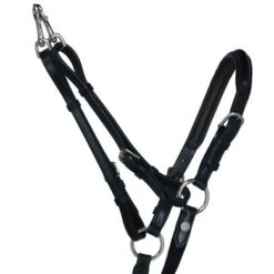 Equiline Borsttuig Met Elastiek Zwart -Lemie Paard Winkel agradi 44789680 2.e6ce7d