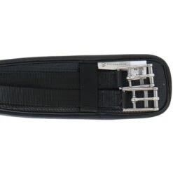 Waldhausen Singel Basic Zwart 11 Waldhausen Singel Basic Zwart -Lemie Paard Winkel agradi 44953713 5.756719