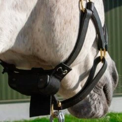 Birth Alarm Premium Plus -Lemie Paard Winkel birthalarm image 35.30f83c