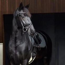 Catago Dressuursingel Faux Fur Zwart -Lemie Paard Winkel catago22 48138501 1.08cfa0