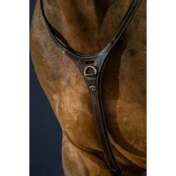 Dyon Martingaal Yoke Bruin -Lemie Paard Winkel dyon yoke brun over d collection 3.103241