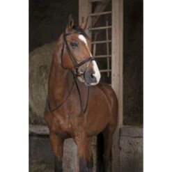 Norton Teugels Pro Rubber 16mm Zwart/Wit -Lemie Paard Winkel ekkia z05838 305 631 302 ambi.df21de