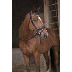 Norton Teugels Pro Grip Zwart Full -Lemie Paard Winkel ekkia z06055 305 600 202 ambi.8fe30e