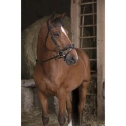 Norton Teugels Breed Rubber Havanna Full -Lemie Paard Winkel ekkia z06059 305 639 002 ambi1.ec18c7