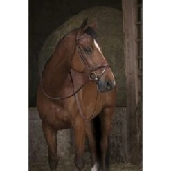 Norton Teugels Breed Rubber Havanna Full -Lemie Paard Winkel ekkia z06059 305 639 018 ambi.b878bc