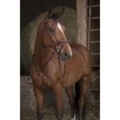 Norton Teugels Breed Rubber Havanna Full -Lemie Paard Winkel ekkia z06059 305 639 018 ambi1.5860df