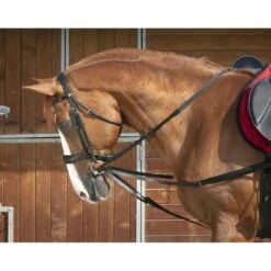 Norton Bijzetteugels Club Vienna Zwart Full