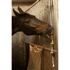 Lax Luzerne Aan Touw -Lemie Paard Winkel hof laxp0034.56000e