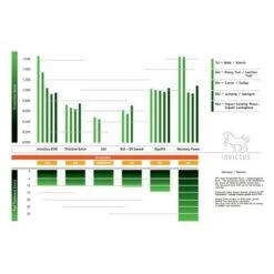 Kavalkade Zadelonderlegger Invictus Dressuur Antraciet -Lemie Paard Winkel kav 13442 04.0135f5 2