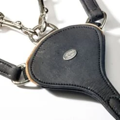 Kavalkade Borsttuig Kurk Cortica Zwart -Lemie Paard Winkel kavalkade 16906 01.f288f8