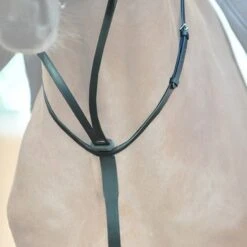 Kavalkade Martingaal Met Stopper Zwart -Lemie Paard Winkel kavalkade 22701 02.1f133a