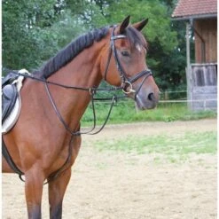 Kerbl Lederen Martingaal Zwart Pony -Lemie Paard Winkel ke 3217541.925919 1