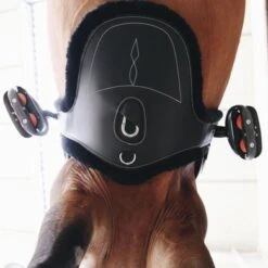 Kentucky Horsewear Kentucky Singelhoes Sheepskin Stud Black -Lemie Paard Winkel kentucky singelhoes sheepskin stud black 1.6b4ea9