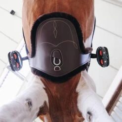 Kentucky Horsewear Kentucky Singelhoes Sheepskin Stud Brown -Lemie Paard Winkel kentucky singelhoes sheepskin stud bruin.02b4d1