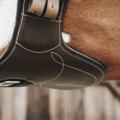 Kentucky Horsewear Kentucky Springsingel Short Stud Brown -Lemie Paard Winkel kentucky springsingel short stud brown 1.c1dcf0