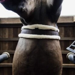 Kentucky Horsewear Kentucky Veelzijdigheidssingel Sheepskin Bruin/Naturel -Lemie Paard Winkel kentucky veelzijdigheidssingel sheepskin brown 1.d57919