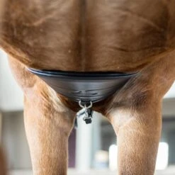 Kieffer Springsingel Ultrasoft Zwart -Lemie Paard Winkel kieffer 478 kieffer ultrasoft stollenschutzgurt bellyguard horse 2.e3c691
