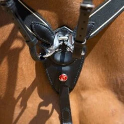 Kieffer Borsttuig Arlene Elastisch Tabak -Lemie Paard Winkel kieffer 922 arlene vorderzeug breastplate 3.3850cd