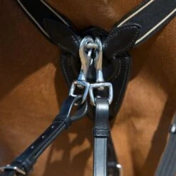 Kieffer Borsttuig Arlene Elastisch Tabak -Lemie Paard Winkel kieffer 922 arlene vorderzeug breastplate 4.ad1c11