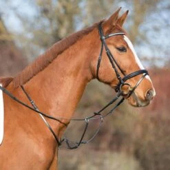 Kieffer Martingaal Verstelbaar Zwart -Lemie Paard Winkel kieffer 924 martingal verstellbar 1.344d46