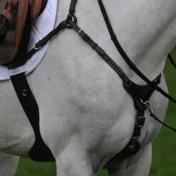 Kavalkade Borsttuig Inclusief Singel SecureX Zwart 135cm