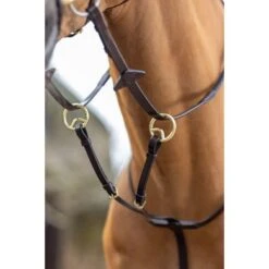 LeMieux Martingaal Running Havana Pony -Lemie Paard Winkel lmx g0a7361.bc4982