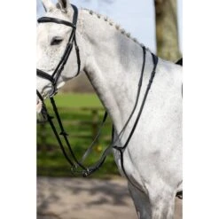 LeMieux Kudos Martingaal Running Zwart -Lemie Paard Winkel lmx g0a7666.249f4c