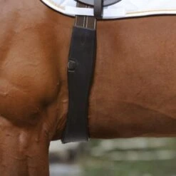 Passier Singel Curved Leather Havana -Lemie Paard Winkel passier 070 geschw satgur la hav pferd 3800x3800.005c85