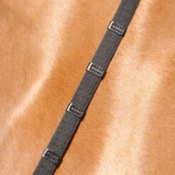 Passier Teugels Webband 9 Stops Zwart/Goud -Lemie Paard Winkel passier 922 gurt dop ledstege zue mtgs kno sch pferd 3800x3800.c84319 1