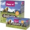 Pavo DailyFit