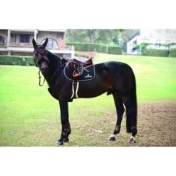 Kentucky Horsewear Kentucky Borsttuig Hoes Sheepskin Bruin 60cm -Lemie Paard Winkel productken 88190 88299 42406 42601 42602 42506 42505 42605.4eacba