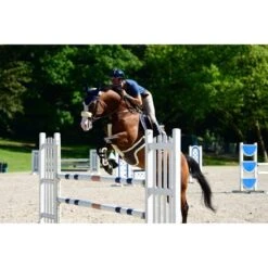 Kentucky Horsewear Kentucky Borsttuig Hoes Sheepskin Natural 60cm -Lemie Paard Winkel productken 88192 42402 42601 42602 42605.f400e7