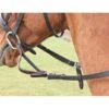 Shires Teugelhechting Havana -Lemie Paard Winkel productsh 3264.c7bb8b