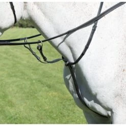 Avignon Martingaal Zwart Cob