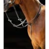 Salisbury Martingaal Hulpteugel Black -Lemie Paard Winkel productshires 283 black.594d9f