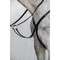PS Of Sweden Martingaal Seoul Zwart -Lemie Paard Winkel ps dsc 8458.625f80
