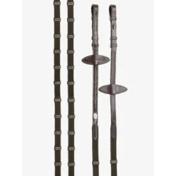 PS Of Sweden Teugels Seattle Bruin