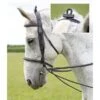 Shires Trainingsteugels Elastisch Black 6mm