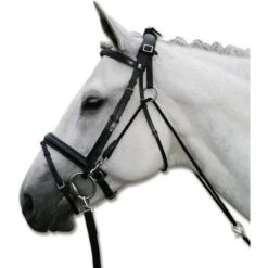 Star Chambon Met Teugelverbinding Zwart One Size -Lemie Paard Winkel wald 140410 2.80bb72