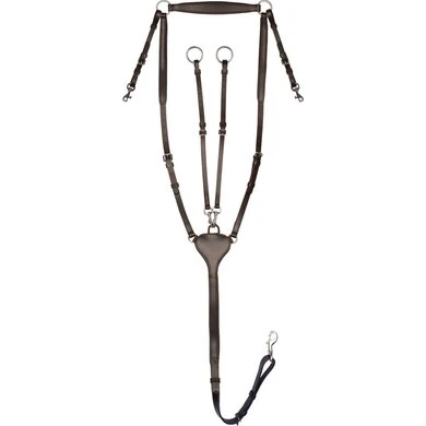 Waldhausen Borsttuig X-Line Bruin 3 Waldhausen Borsttuig X-Line Bruin